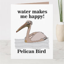 Pelican Bird