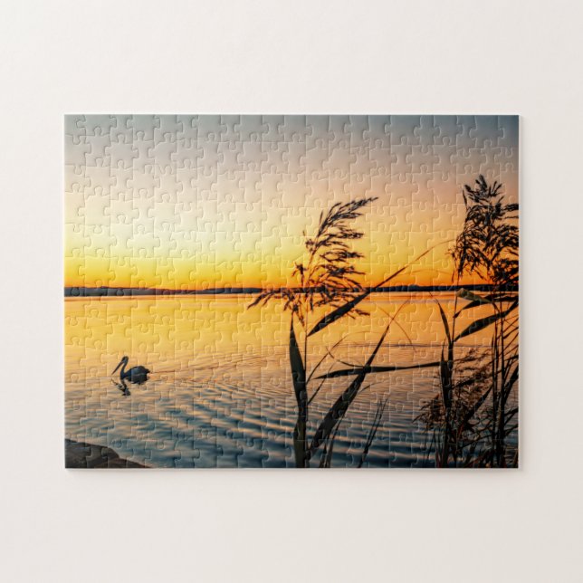 Pelican Bird Lake Water Pflanze Landschaft Szene (Horizontal)