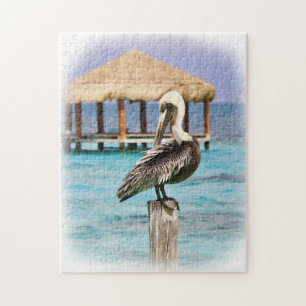 Pelican Blue Water Tropical Island
