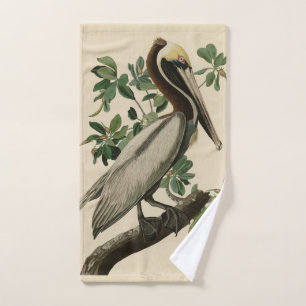 Pélican Brown d'Audubon's Birds of America
