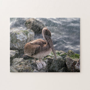 Pélican Brown sur les Roches Grand Puzzle