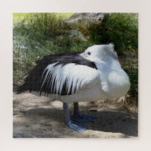Pelican Cat Nickerchen, Jigsaw Puzzle