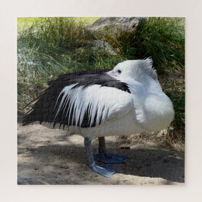 Pelican Cat Nickerchen, Jigsaw Puzzle (Vertikal)