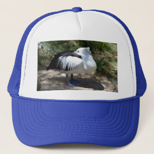 Pelican Cat Nickerchen, Trucker Hat Truckerkappe