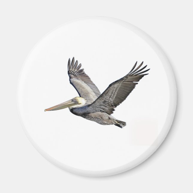 Pelican Clear Magnet (Vorne)