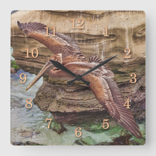 PELICAN COVE NAVIGATOR QUADRATISCHE WANDUHR