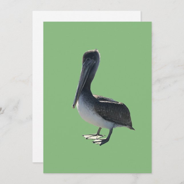 Pelican Feiertagskarte (Vorne/Hinten)