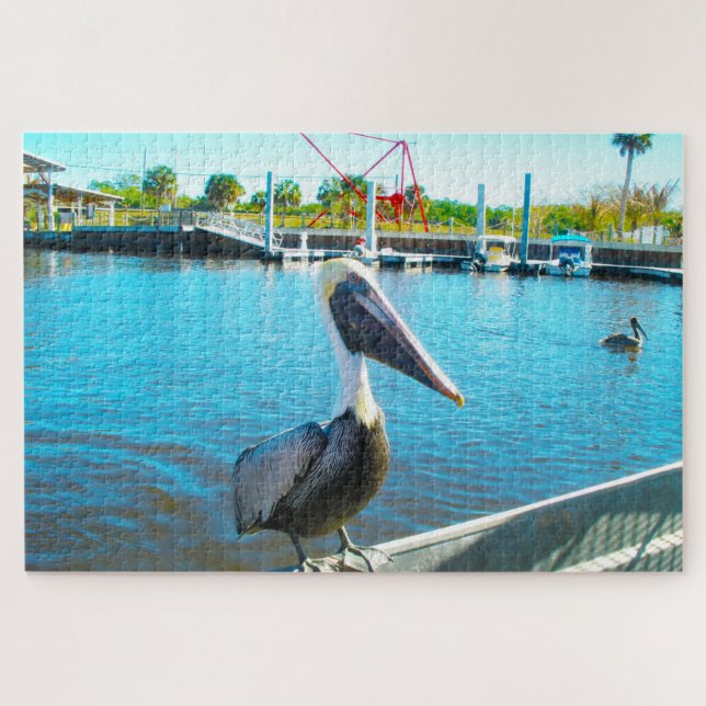 Pelican Florida (Horizontal)
