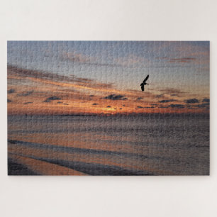 Pelican Flying at Sunrise, Dauphin Island, Alabama