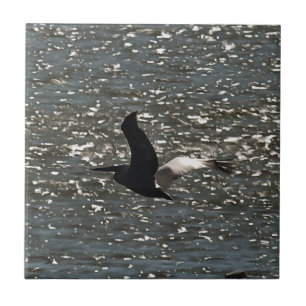 Pelican Flying Over Shimmering Lake Bafa Fliese