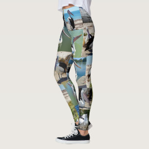 Pelican Foto Collage, Ladys Leggings