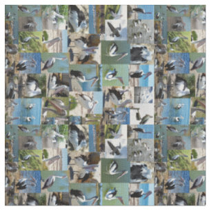 Pelican Foto Collage, Stoff