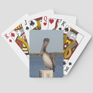 Pelican Fotografy Deck of Cards Spielkarten