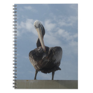 Pelican from Peru Notebook Notizblock