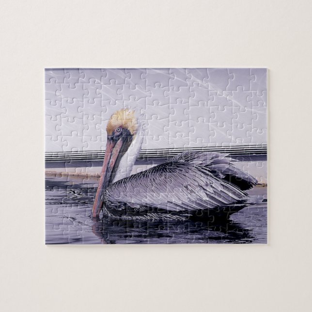 Pelican Gliding (Horizontal)