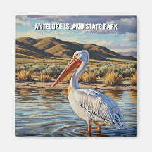 Pelican in Antelope Island Staat Park Utah