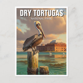 Pelican in Dry Tortugas National Park Postkarte