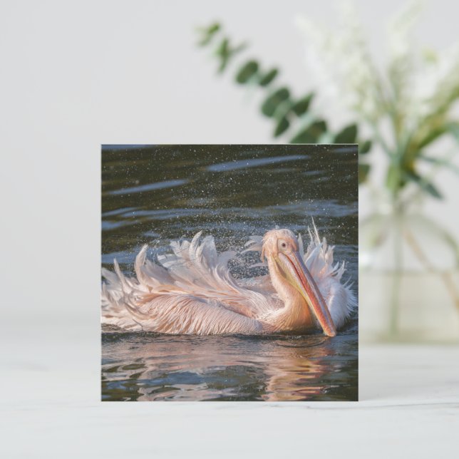 Pelican in Motion (Stehend Vorderseite)