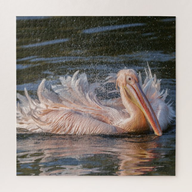 Pelican in Motion (Vertikal)