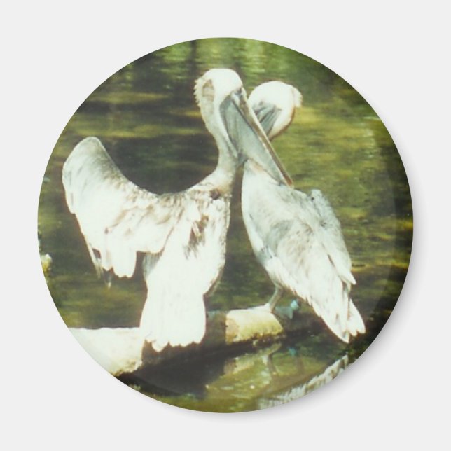 PELICAN-LIEBE - Magnet (Vorne)