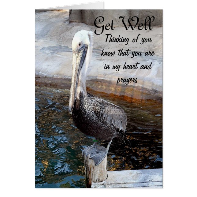 Pelican Liebe, Occasions_ (Vorne)