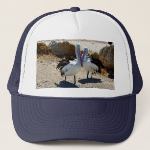 Pelican Love, Casquette