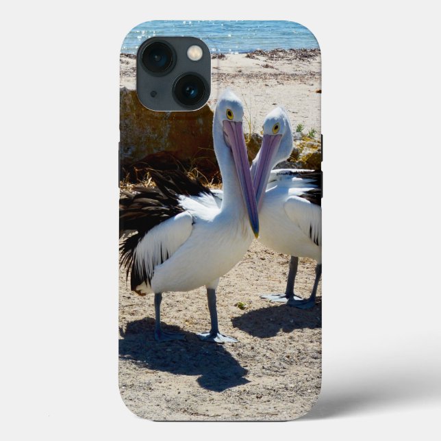 Pelican Love, iPhone 13 Coque (Verso)