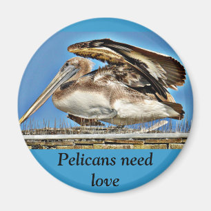Pelican_ Magnet