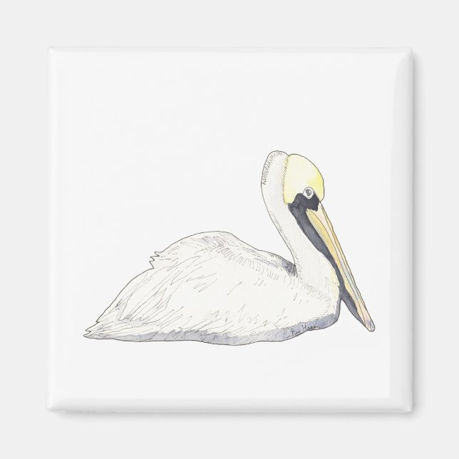 Pelican Magnet (Vorne)