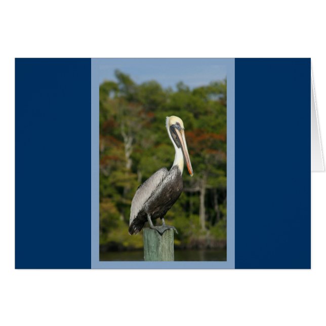 Pelican on Blue (Vorderseite (Horizontal))