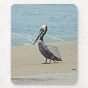 Pelican on Outer Banks OBX NC Mousepad