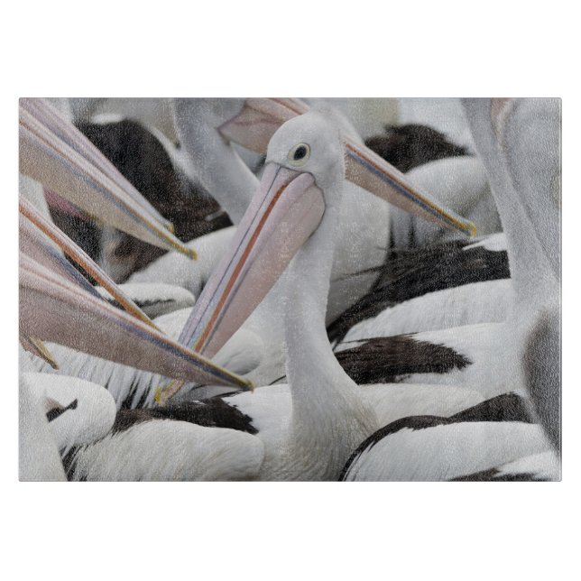 Pelican Pod Schneidebrett (Vorderseite)