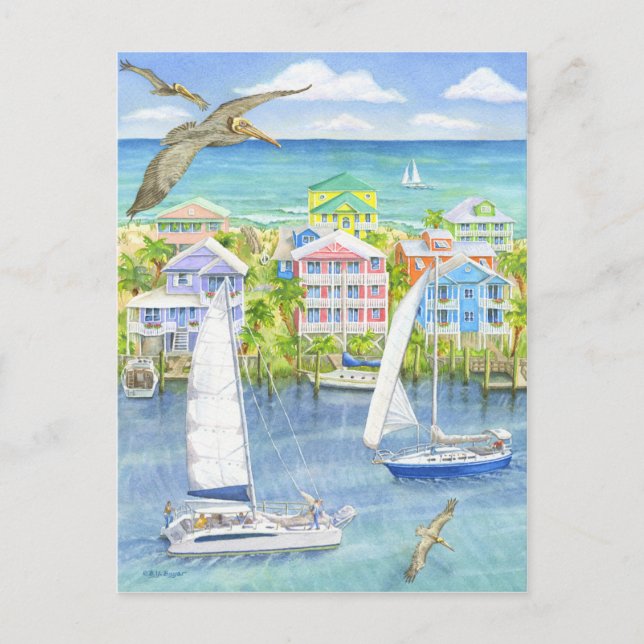 Pelican Point of View Postkarte (Vorderseite)