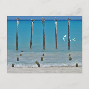Pelican Posts Aruba Postcard Postkarte