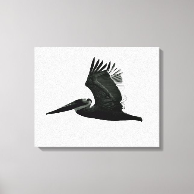 Pelican Print - "In Flight" Leinwanddruck (Vorderseite)
