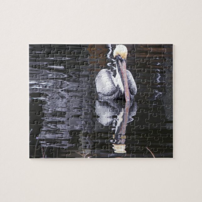 Pelican Reflection (Horizontal)