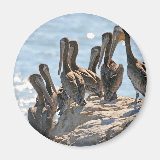 Pelican Rock Magnet (Vorne)