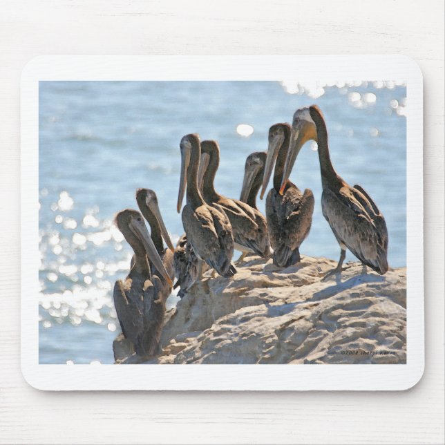 Pelican Rock Mousepad (Vorne)