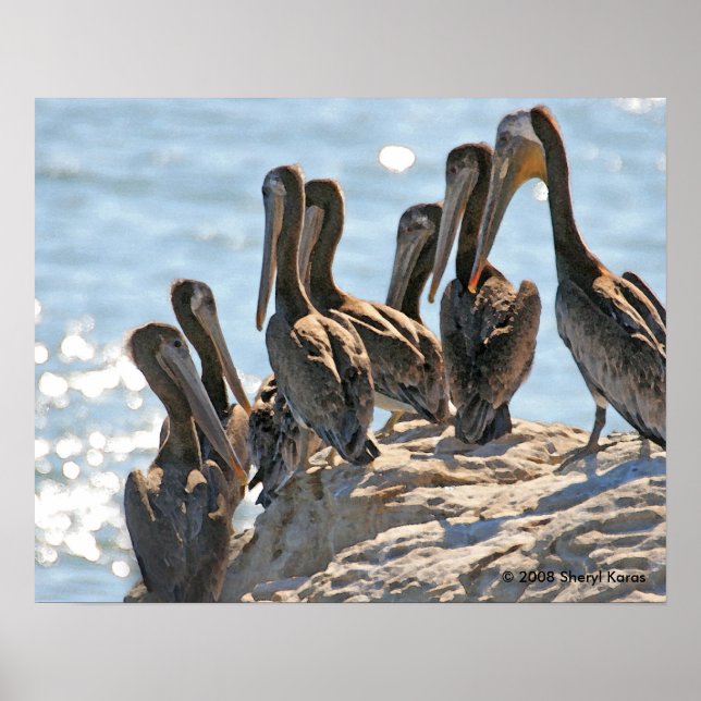 Pelican Rock Poster (Vorne)