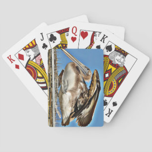 Pelican_ Spielkarten