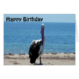 Pélican Stare Down, carte d'anniversaire