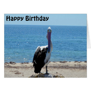 Pélican Stare Down, Jumbo carte d'anniversaire
