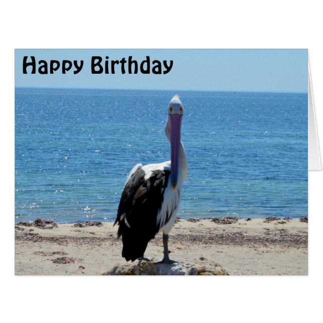 Pélican Stare Down, Jumbo carte d'anniversaire (Devant horizontal)