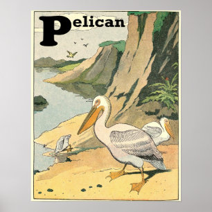 Pelican Story Book Alphabet Poster