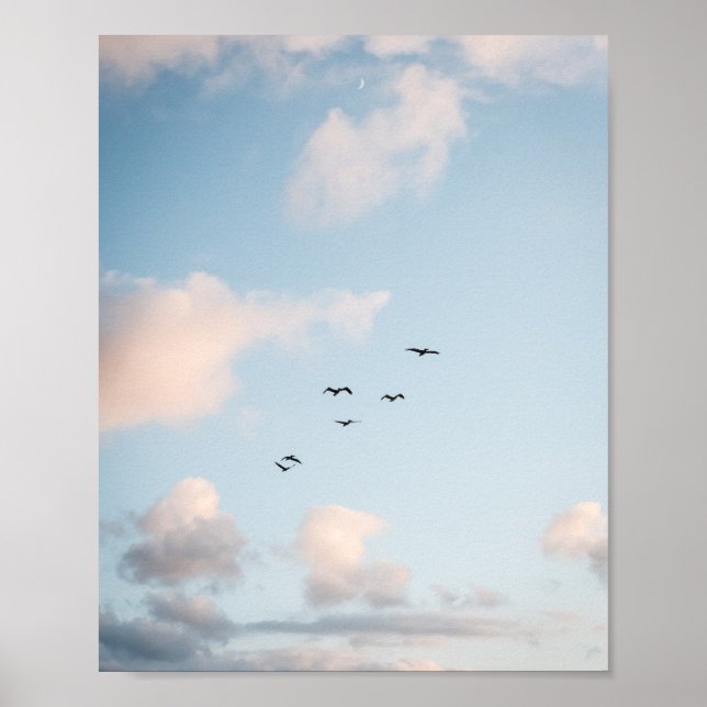 Pelican Sunset Print Poster Paper (Semi-Gloss) (Vorne)