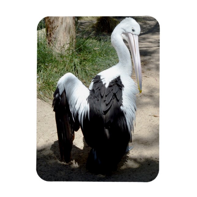 Pelican Time To Prepaid, Magnet (Vertikal)