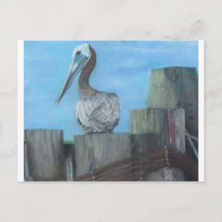Pelican von Hatteras Ferry Postkarte