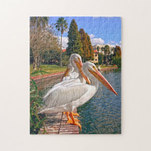 Pélicans de Floride. Jigsaw Puzzle