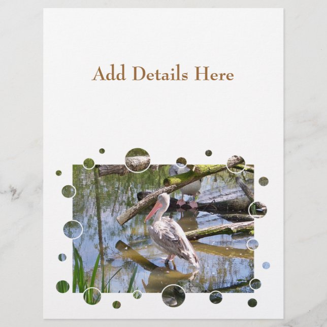 PELICANS FLYER (Vorne)