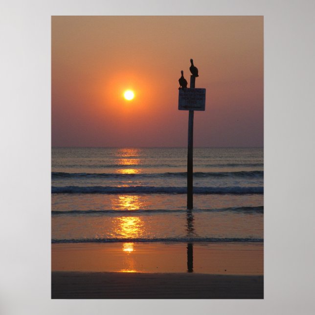 Pelicans Sunrise Ocean Daytona Beach FL Poster (Vorne)